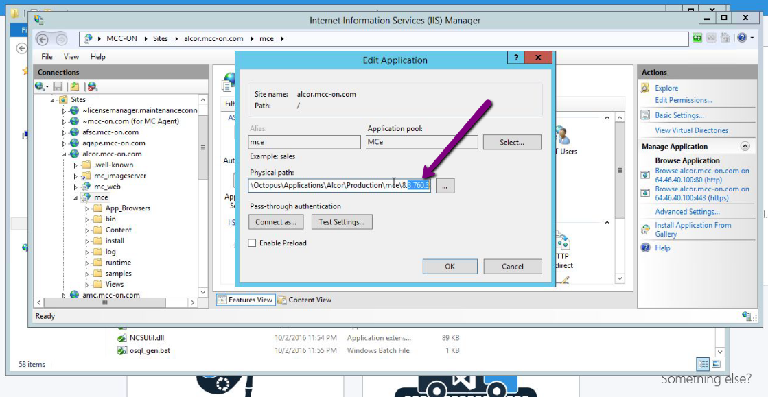 Version Verification Step